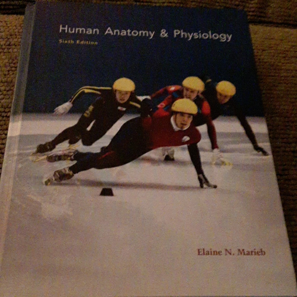 Human anatomy and physiology